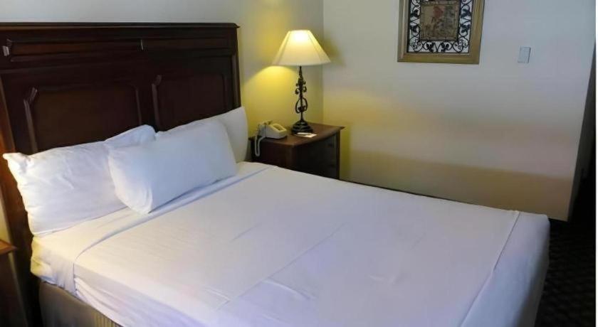El Cortez & Casino - 21 And Over Only (adults Only) Hotel